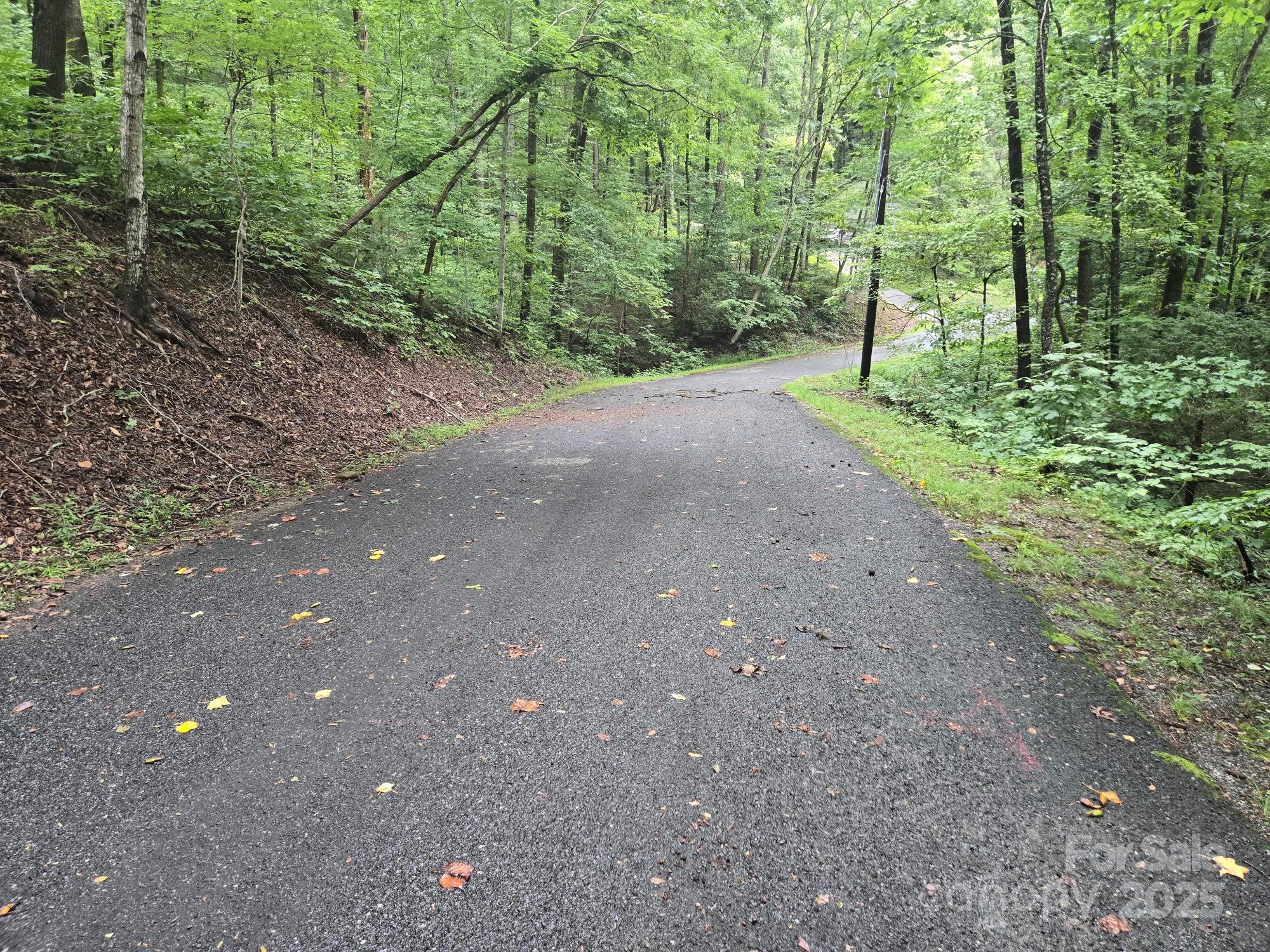 Lot 96 Chalet Road Lake Lure NC 28746