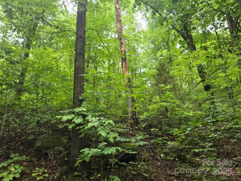 Lot 96 Chalet Road Lake Lure NC 28746