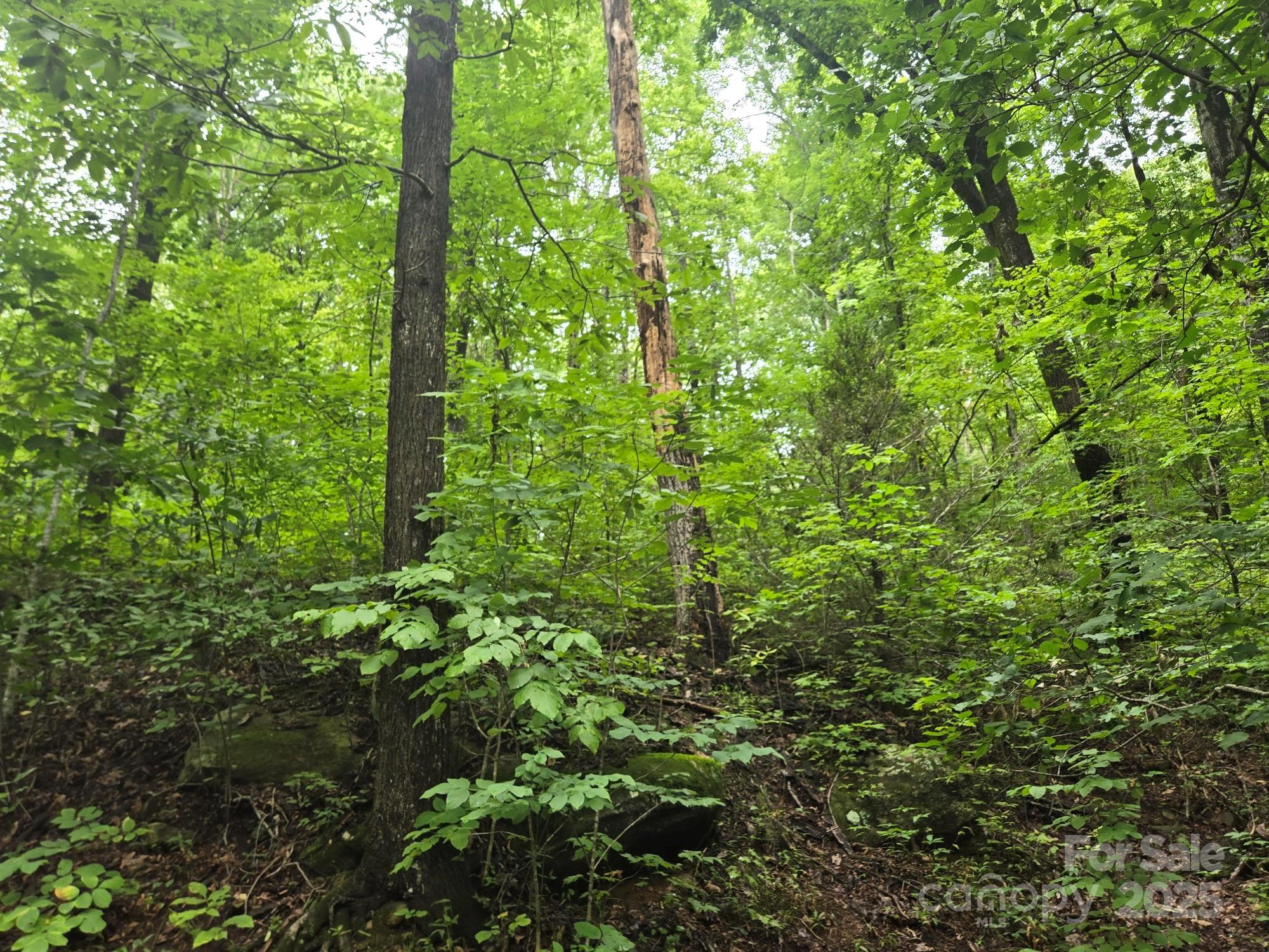 Lot 96 Chalet Road Lake Lure NC 28746