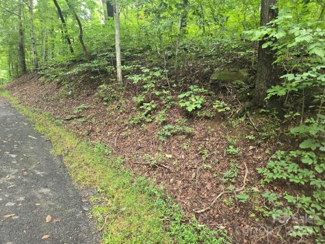 Lot 96 Chalet Road Lake Lure NC 28746
