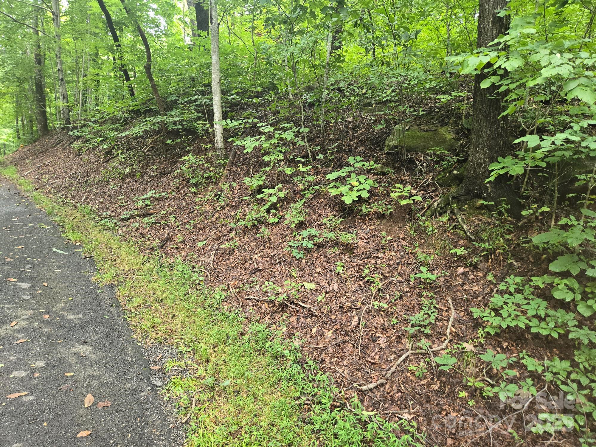 Lot 96 Chalet Road Lake Lure NC 28746