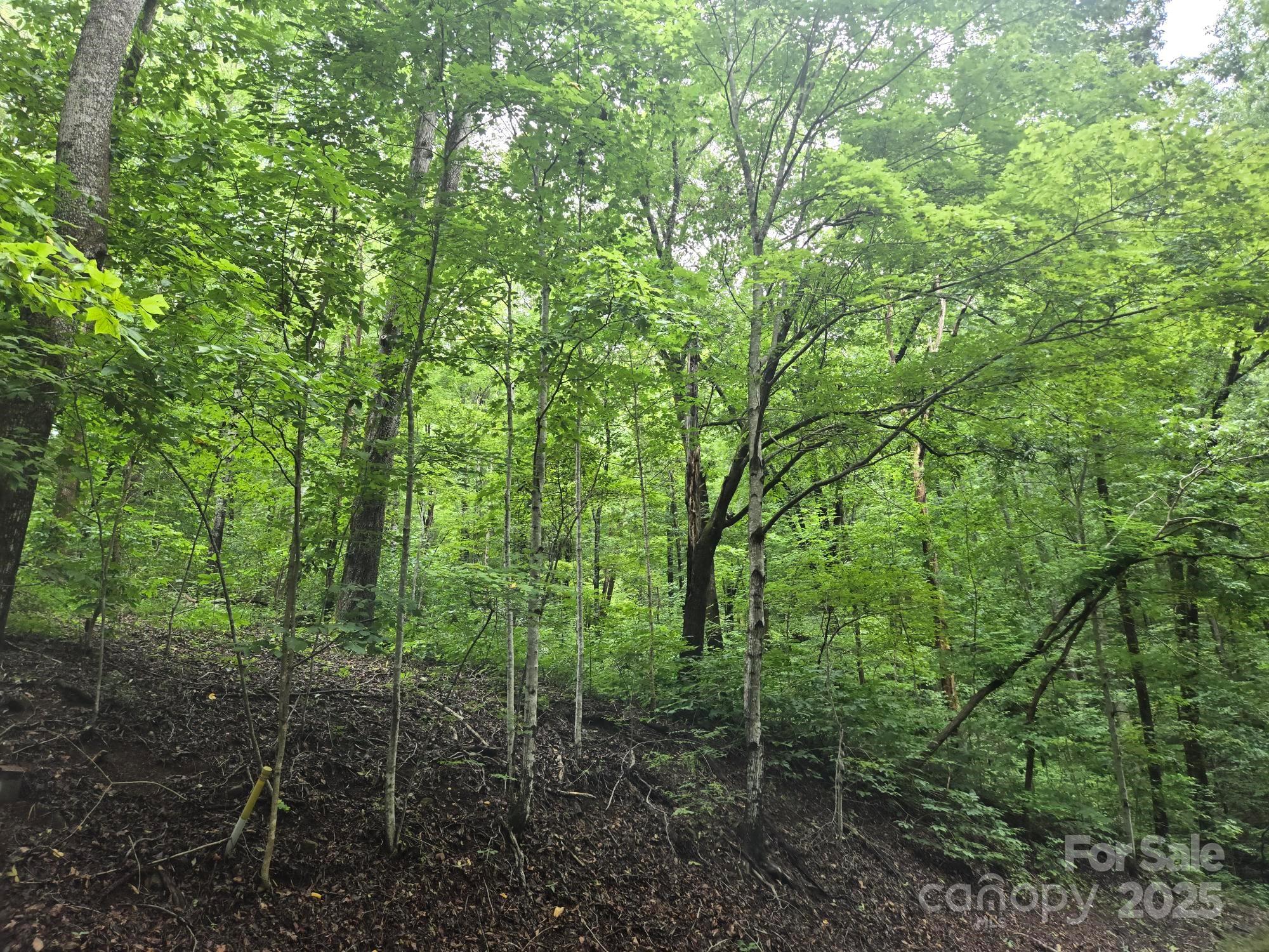 Lot 96 Chalet Road Lake Lure NC 28746