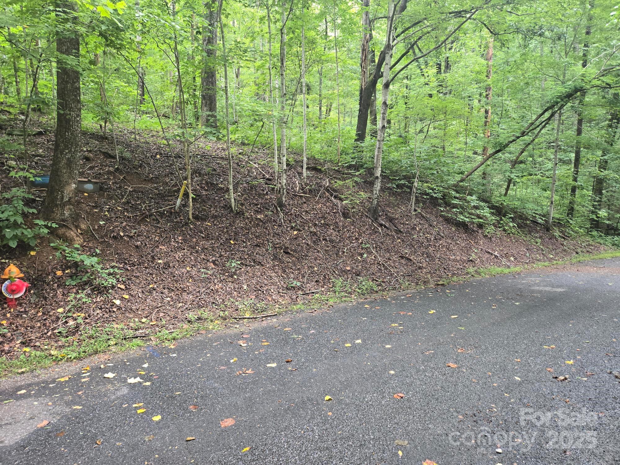Lot 96 Chalet Road Lake Lure NC 28746