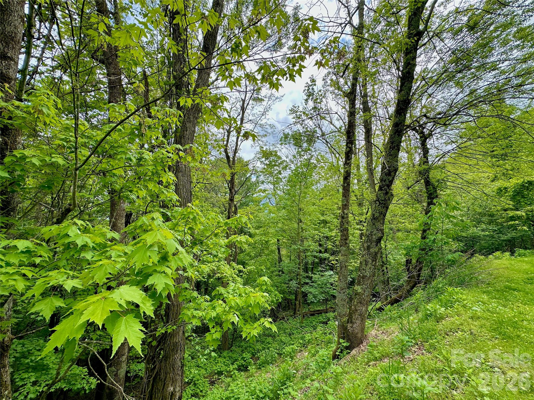 Tbd Alpine Drive Seven Devils NC 28604