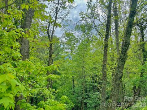 Tbd Alpine Drive Seven Devils NC 28604