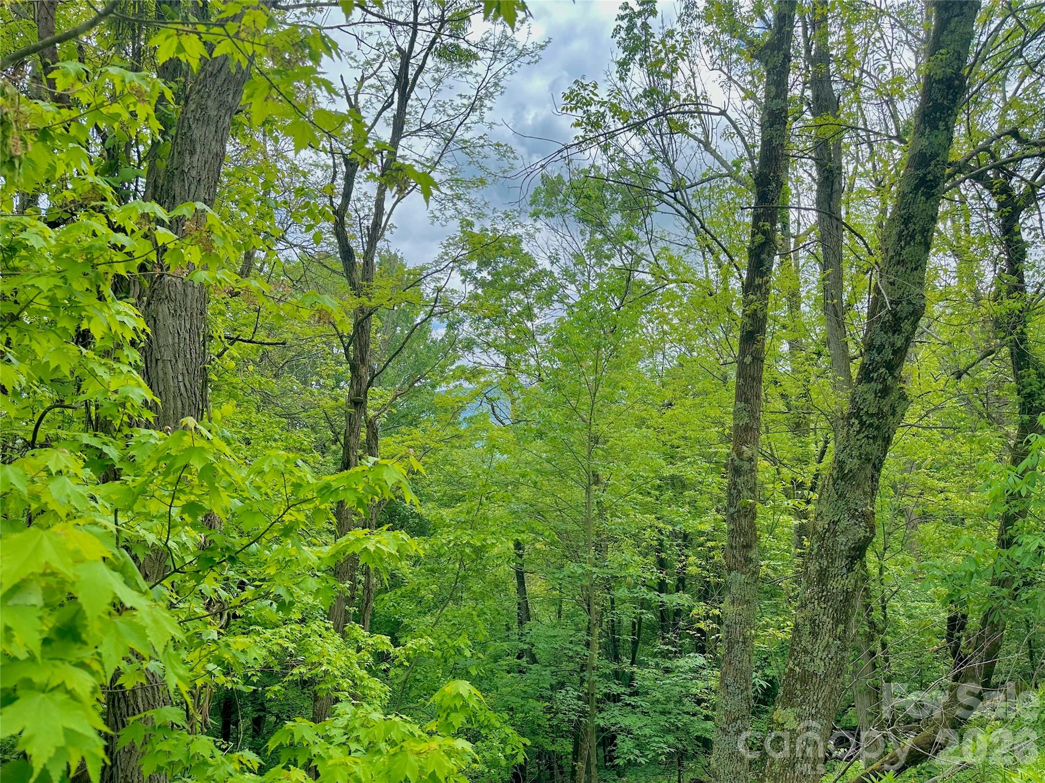 Tbd Alpine Drive Seven Devils NC 28604