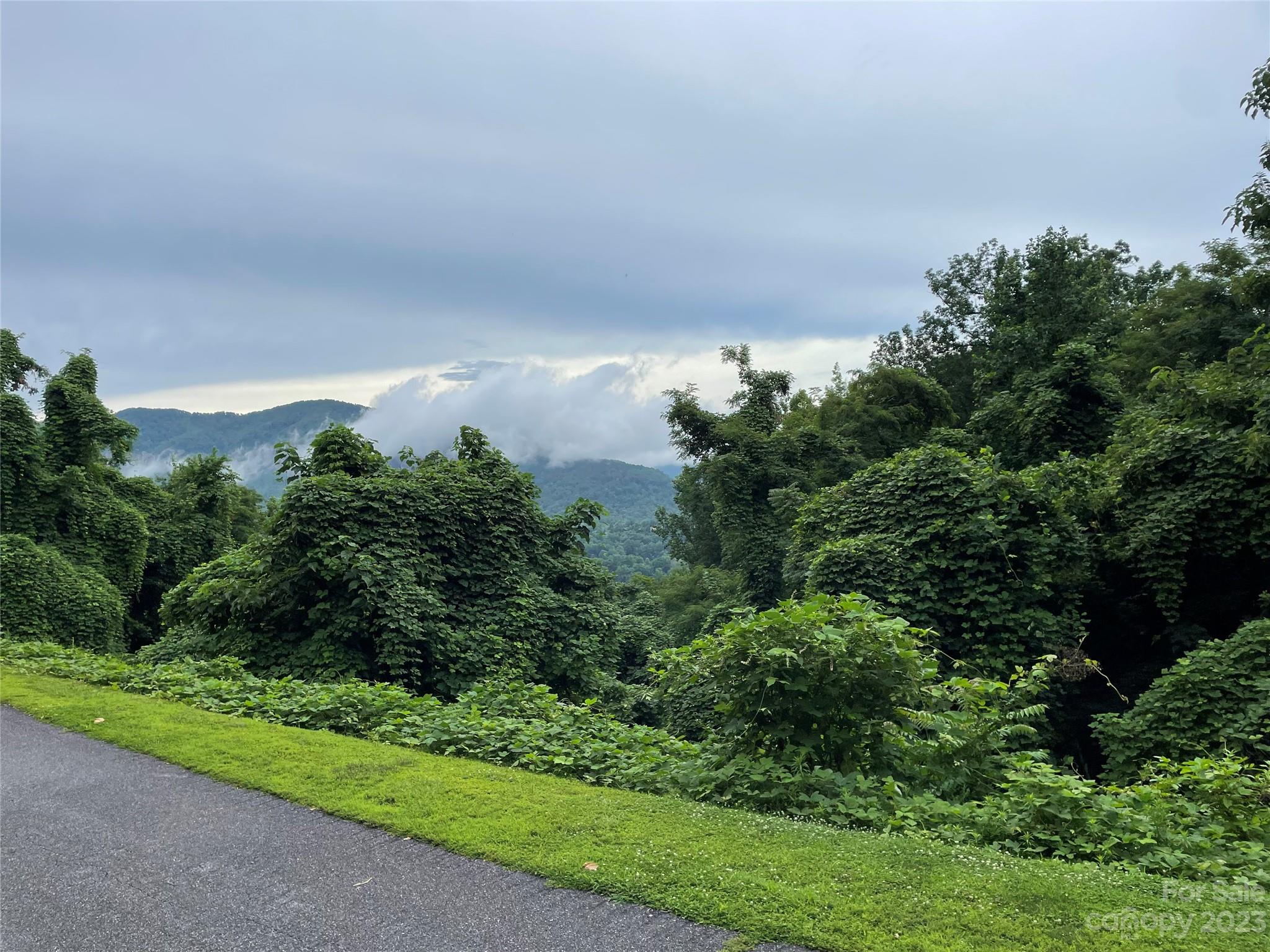 0 Clear Creek Trail Lake Lure NC 28746