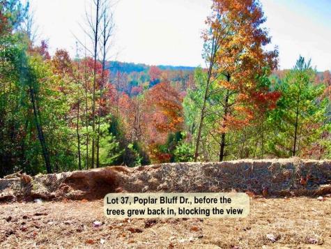 3.31 Acres, Lot 37 Poplar Bluff Drive SE Lenoir NC 28645