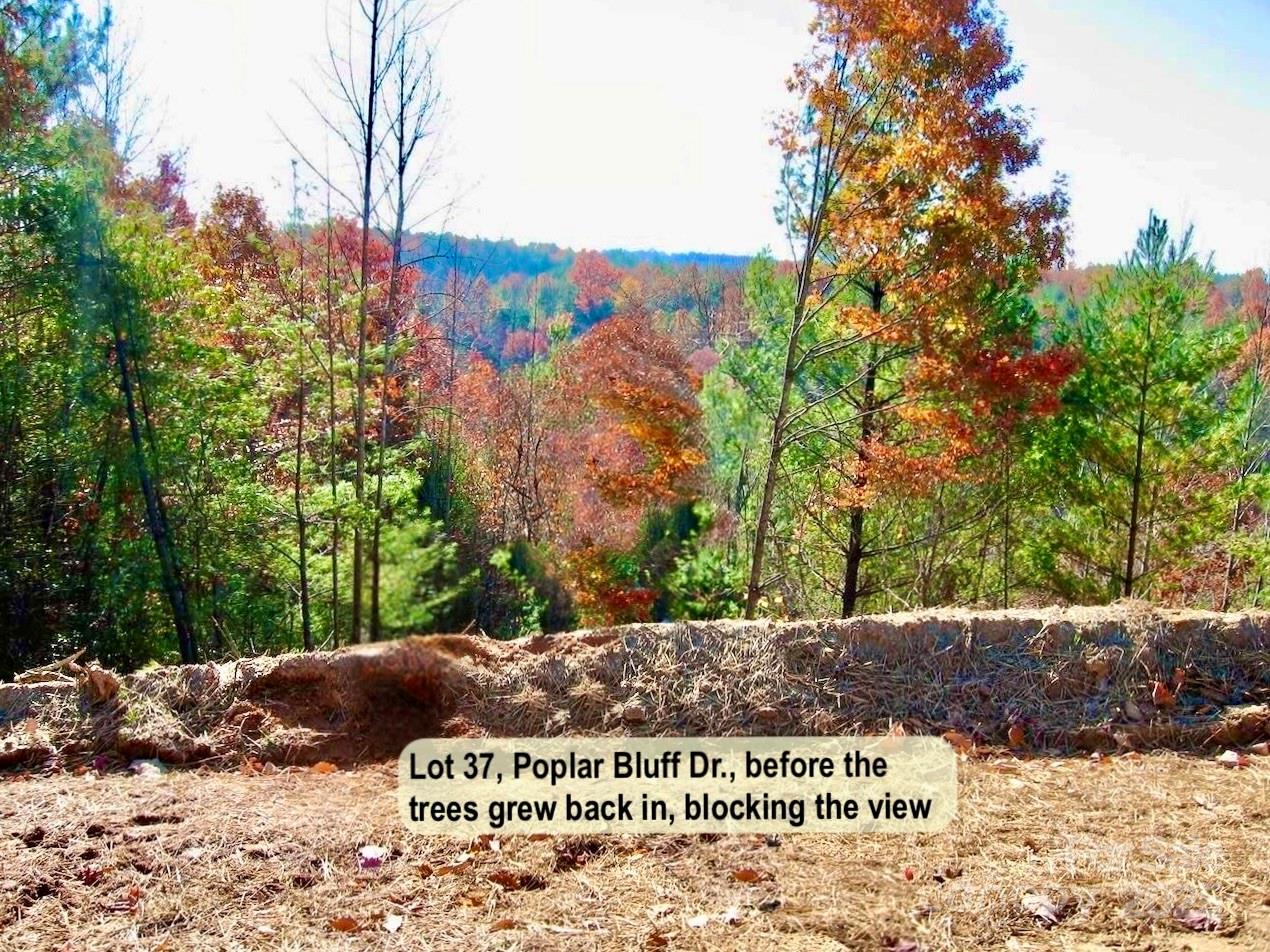 3.31 Acres, Lot 37 Poplar Bluff Drive SE Lenoir NC 28645