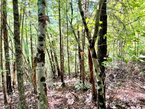 3.31 Acres, Lot 37 Poplar Bluff Drive SE Lenoir NC 28645
