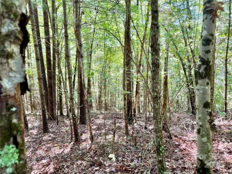 3.31 Acres, Lot 37 Poplar Bluff Drive SE Lenoir NC 28645