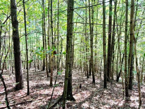 3.31 Acres, Lot 37 Poplar Bluff Drive SE Lenoir NC 28645