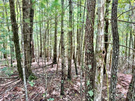 3.31 Acres, Lot 37 Poplar Bluff Drive SE Lenoir NC 28645