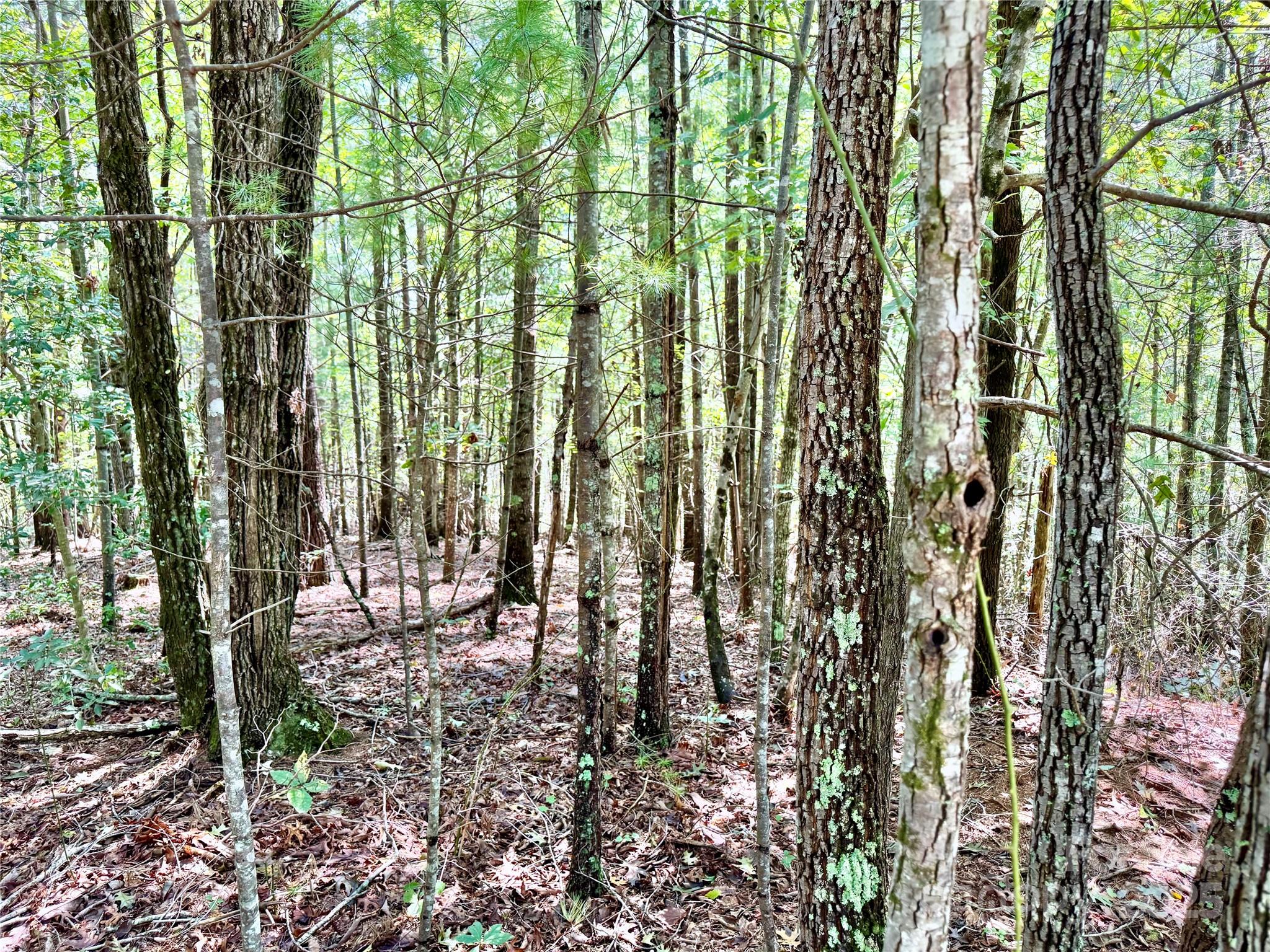 3.31 Acres, Lot 37 Poplar Bluff Drive SE Lenoir NC 28645