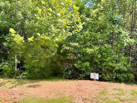 3.31 Acres, Lot 37 Poplar Bluff Drive SE Lenoir NC 28645