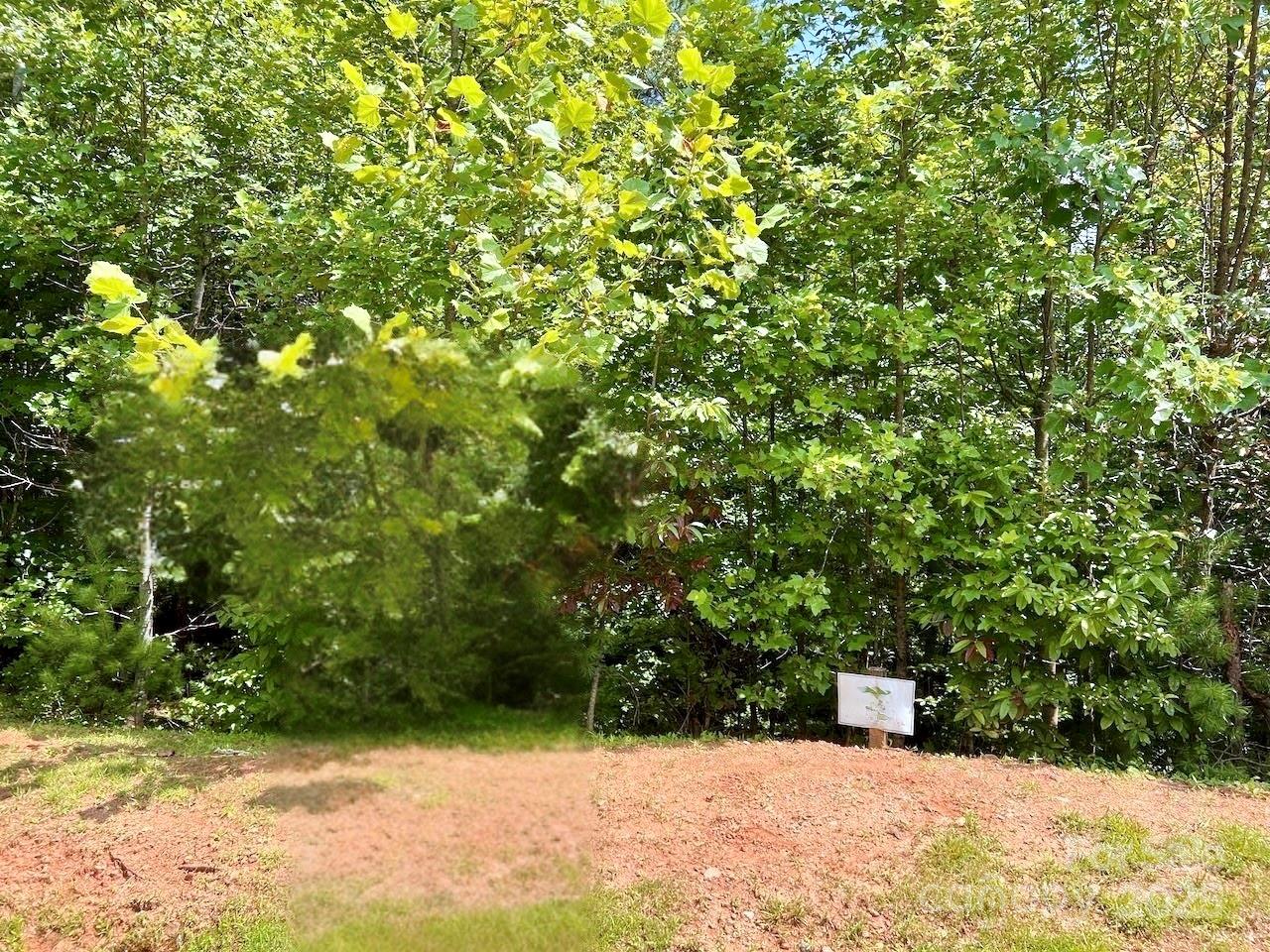 3.31 Acres, Lot 37 Poplar Bluff Drive SE Lenoir NC 28645