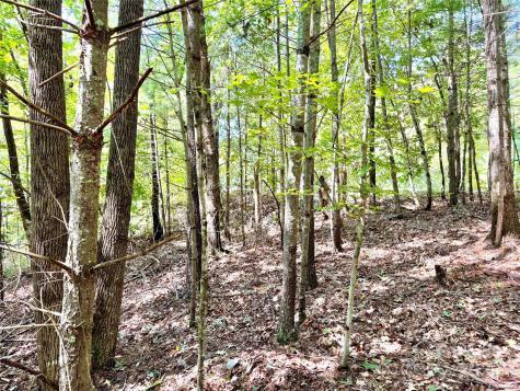 3.31 Acres, Lot 37 Poplar Bluff Drive SE Lenoir NC 28645