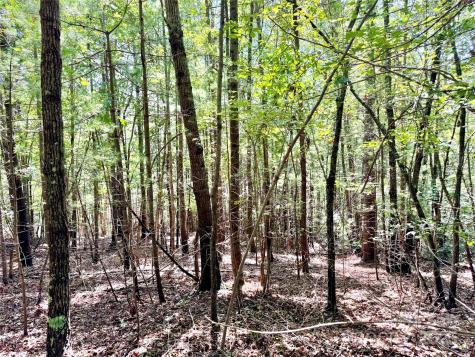 3.31 Acres, Lot 37 Poplar Bluff Drive SE Lenoir NC 28645