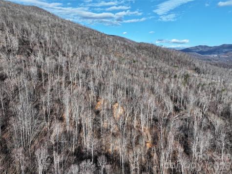 0000 Fork Mountain Road Bakersville NC 28705