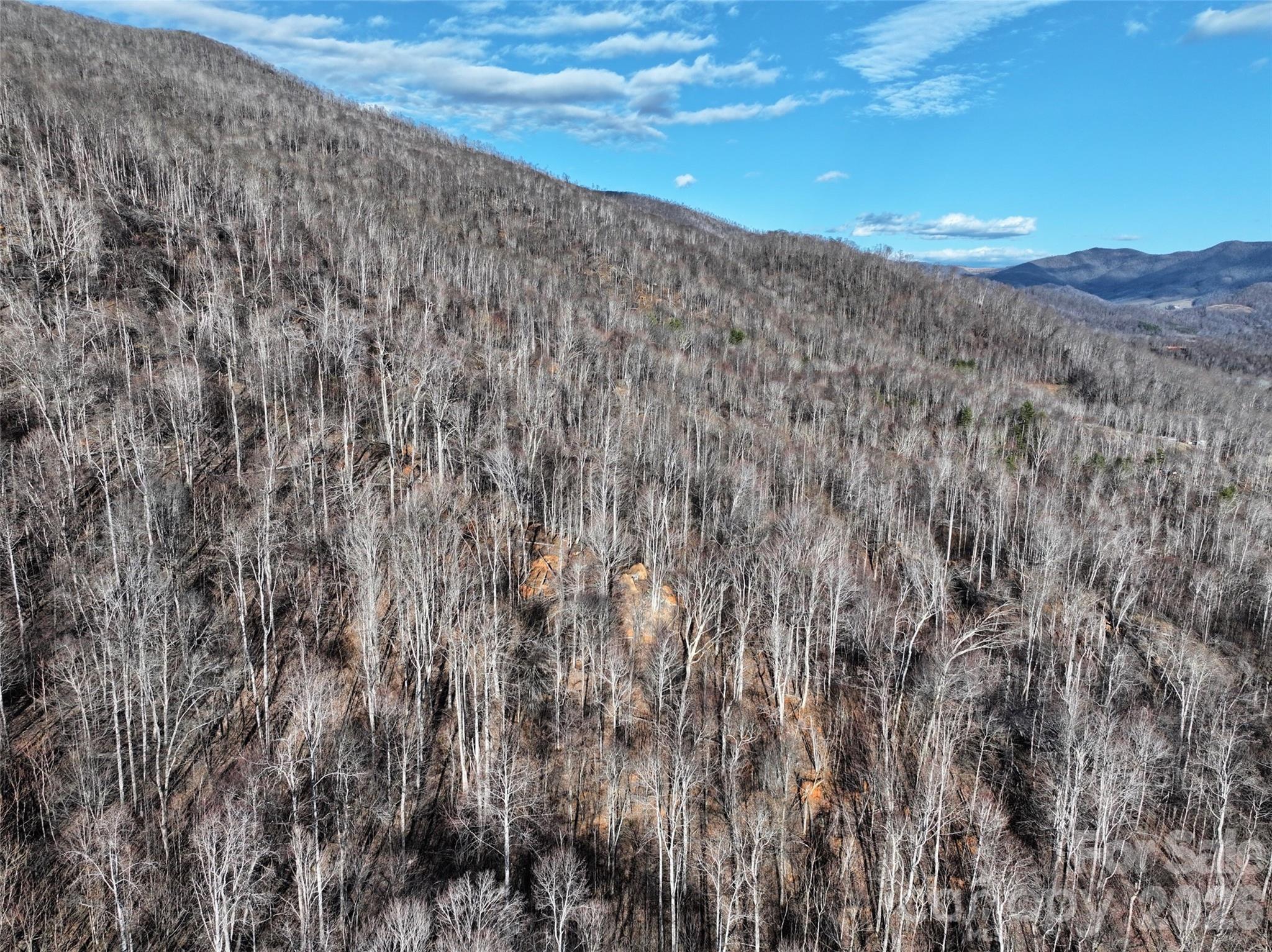 0000 Fork Mountain Road Bakersville NC 28705
