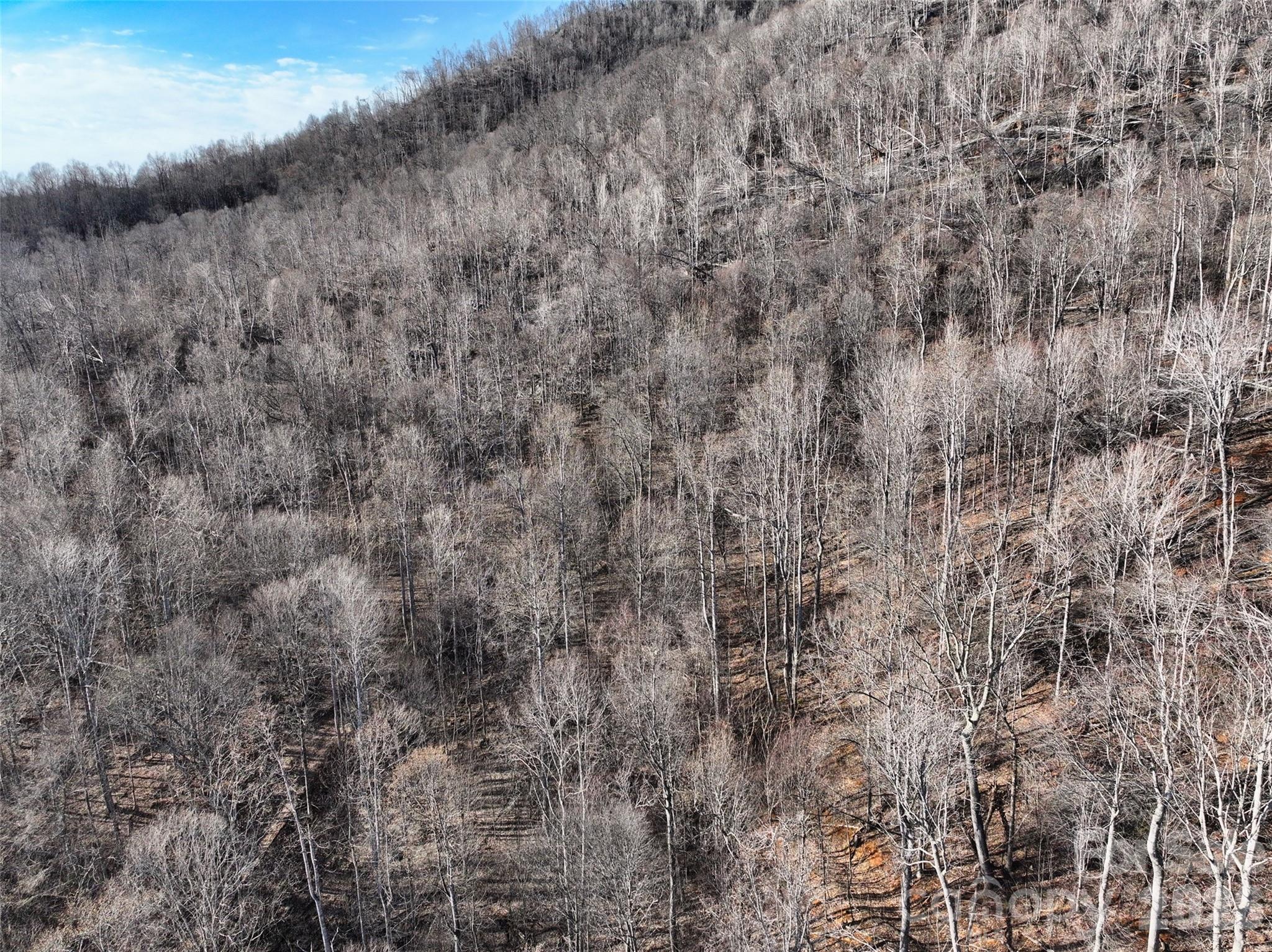 0000 Fork Mountain Road Bakersville NC 28705