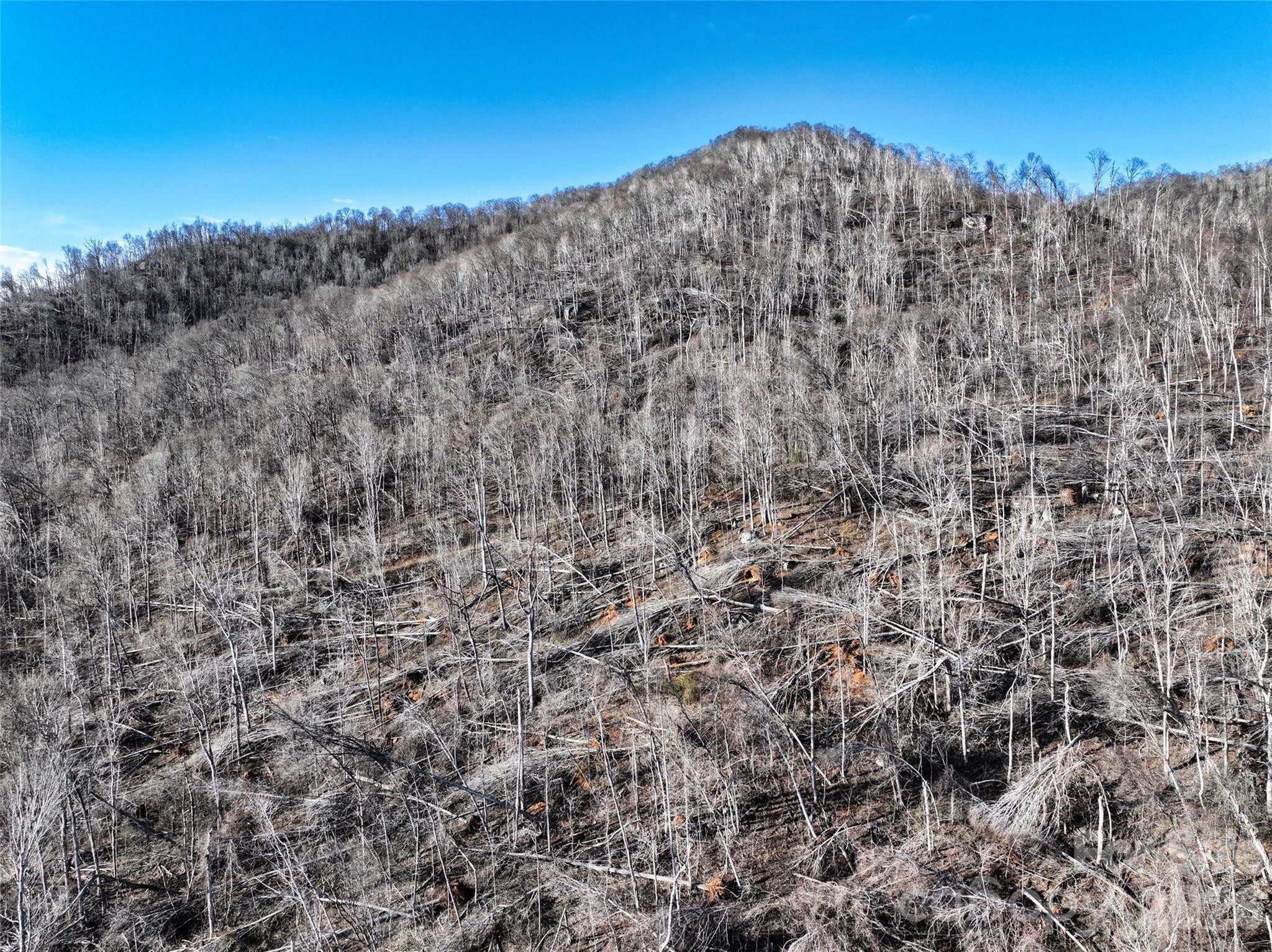 0000 Fork Mountain Road Bakersville NC 28705