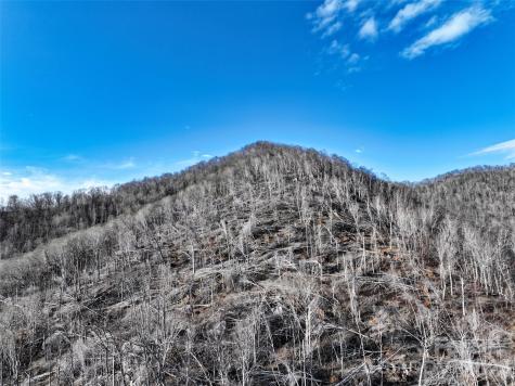 0000 Fork Mountain Road Bakersville NC 28705
