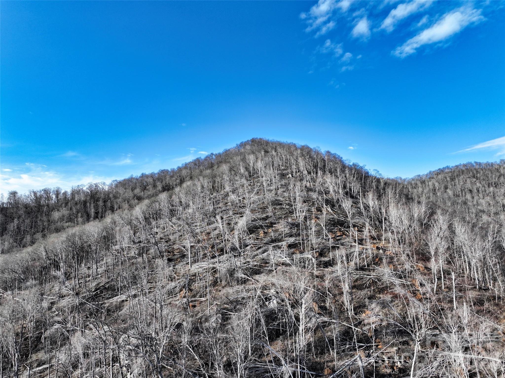 0000 Fork Mountain Road Bakersville NC 28705