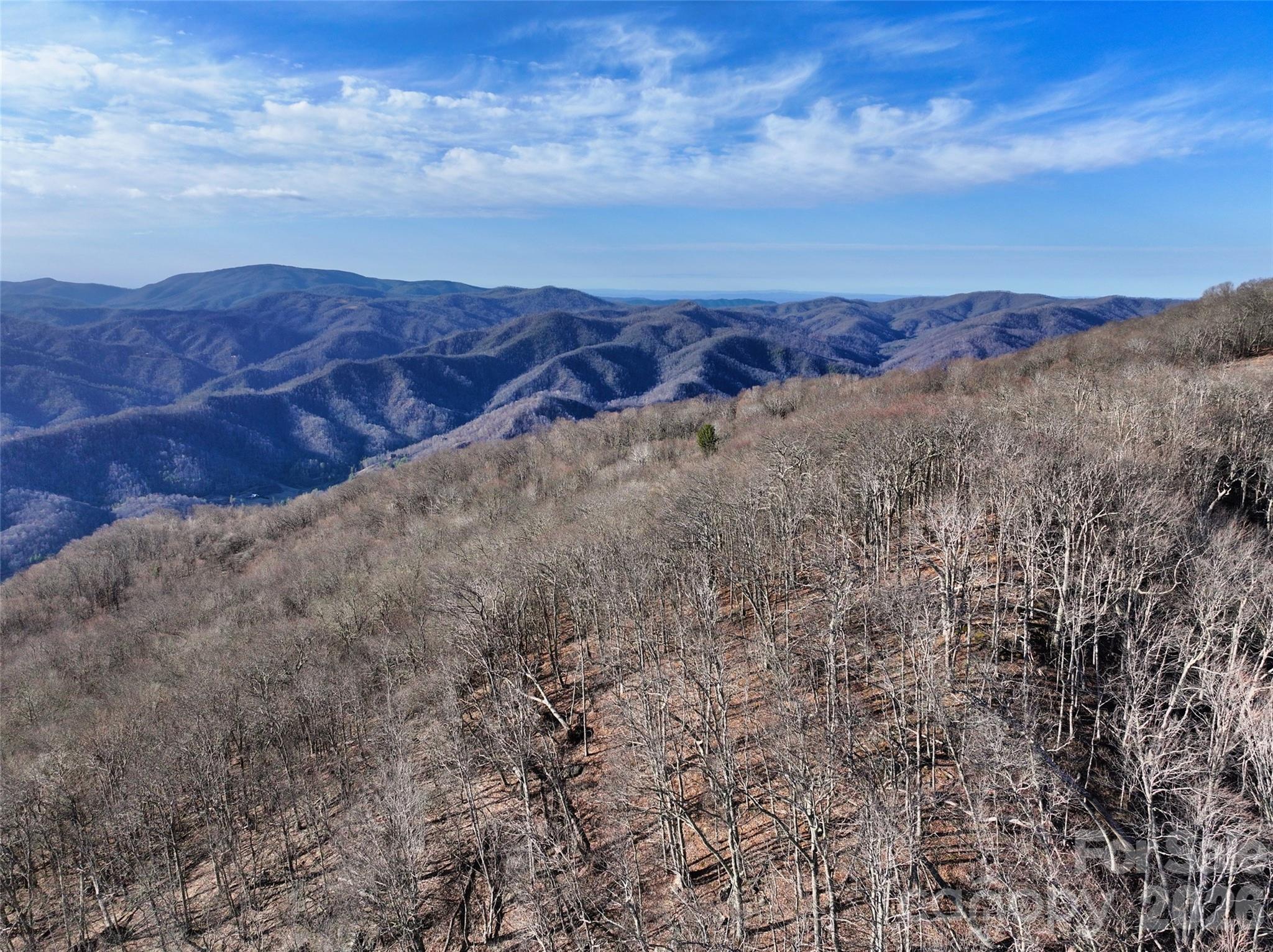 0000 Fork Mountain Road Bakersville NC 28705
