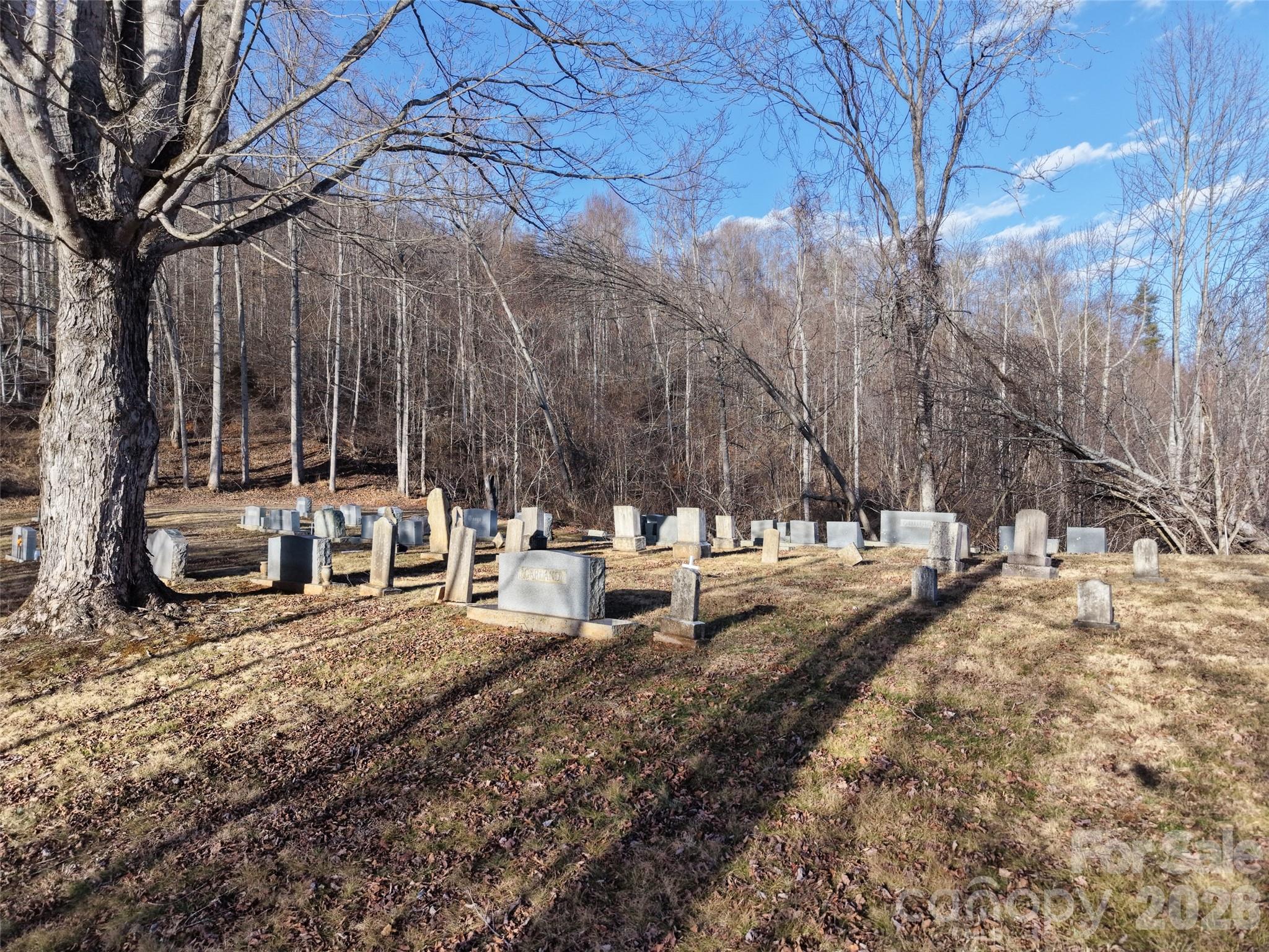 0000 Fork Mountain Road Bakersville NC 28705
