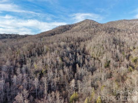 0000 Fork Mountain Road Bakersville NC 28705