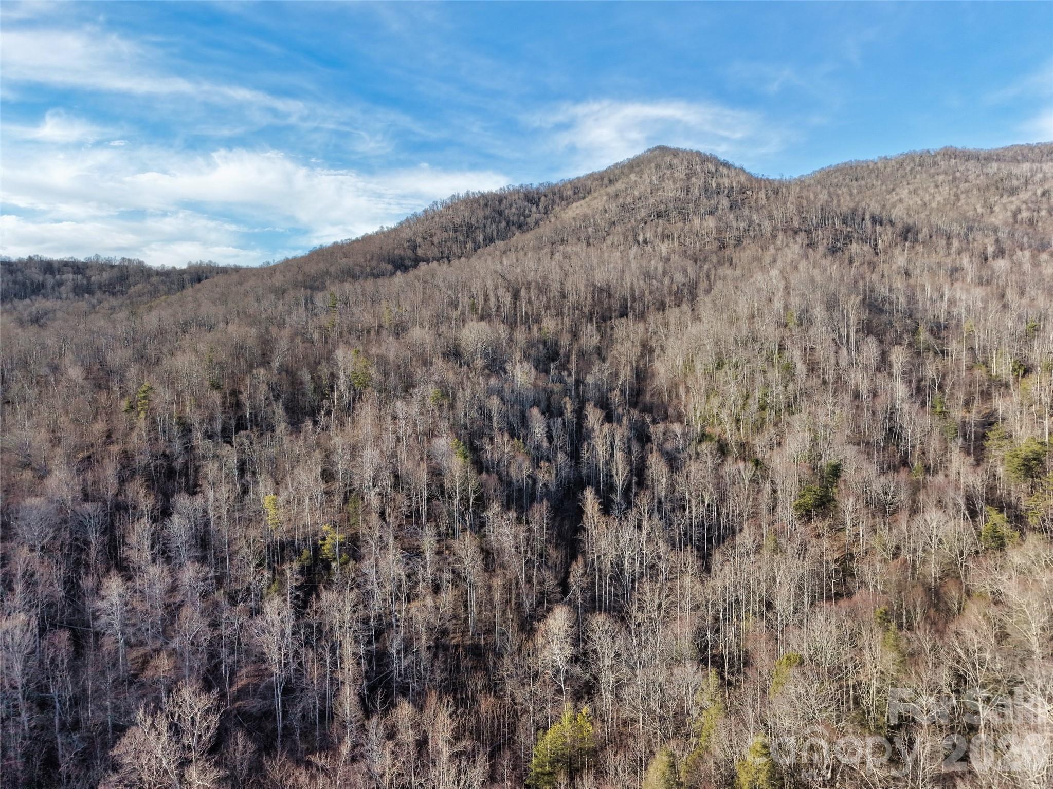 0000 Fork Mountain Road Bakersville NC 28705