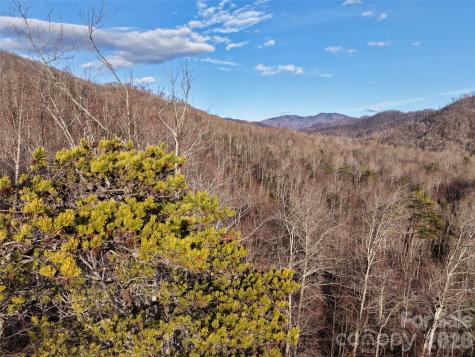 0000 Fork Mountain Road Bakersville NC 28705