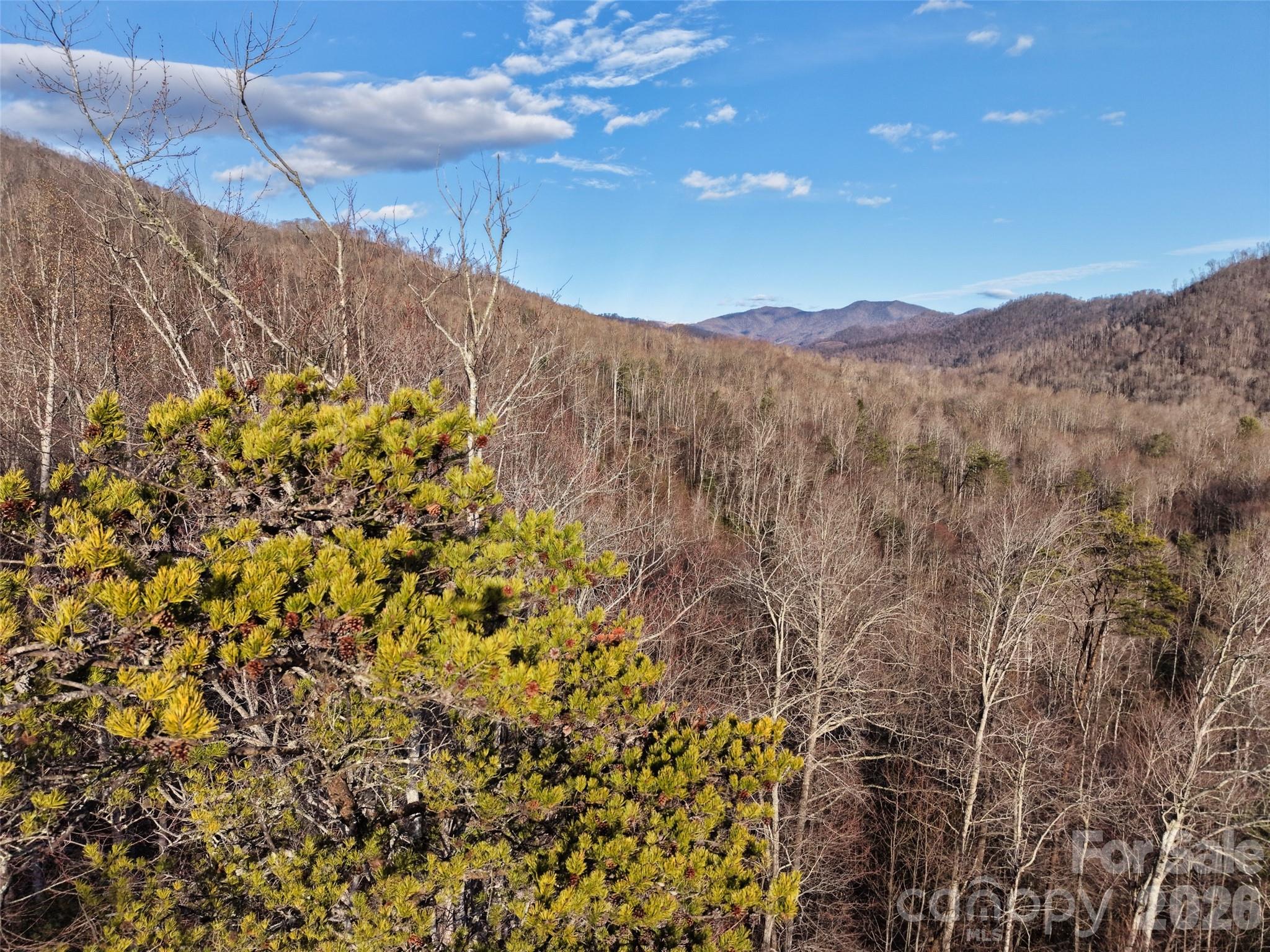 0000 Fork Mountain Road Bakersville NC 28705