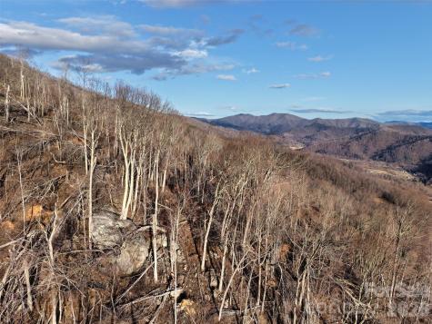 0000 Fork Mountain Road Bakersville NC 28705