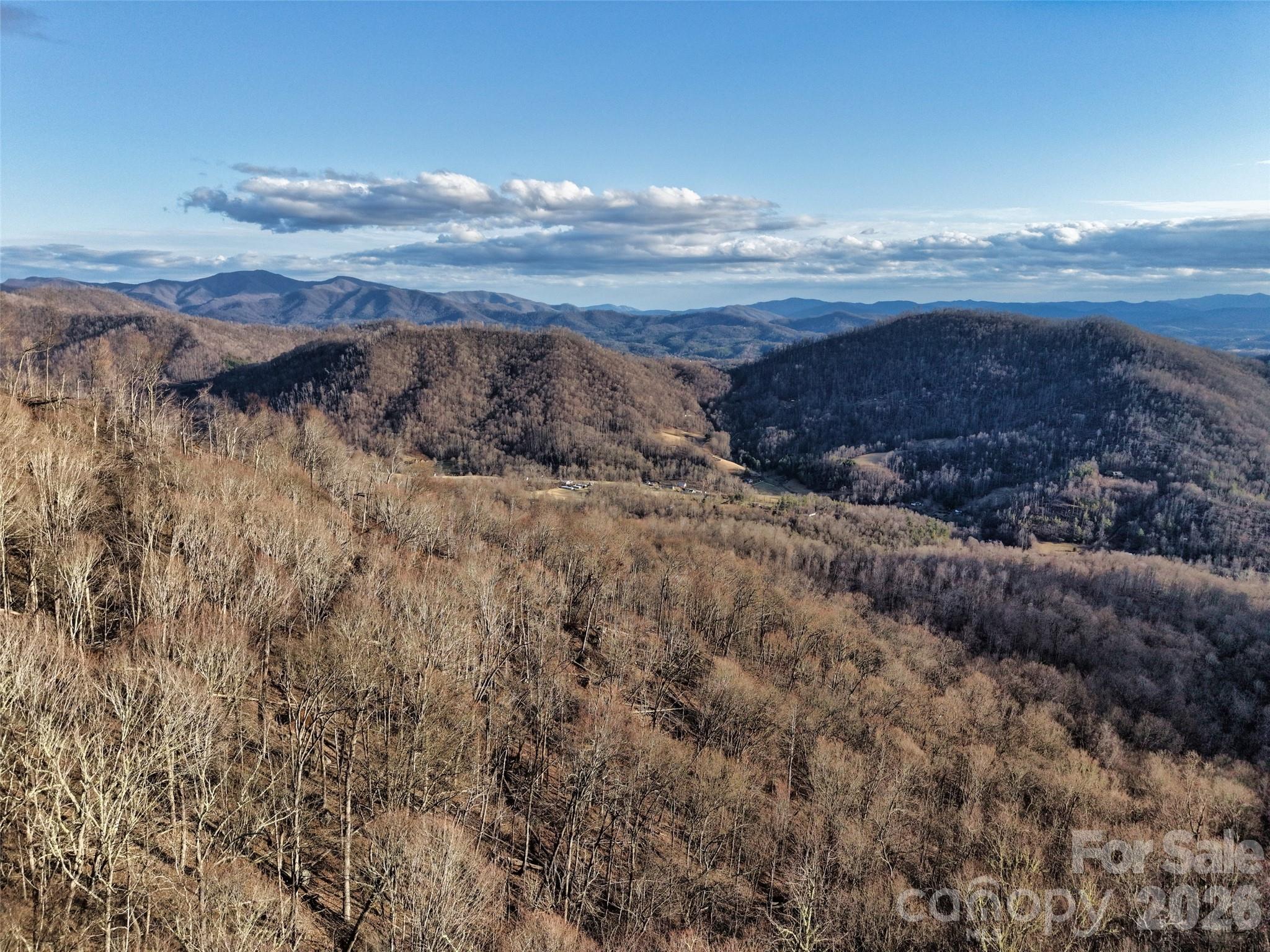 0000 Fork Mountain Road Bakersville NC 28705