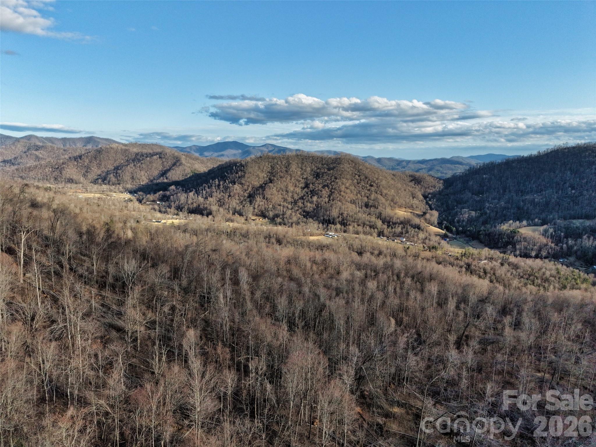 0000 Fork Mountain Road Bakersville NC 28705