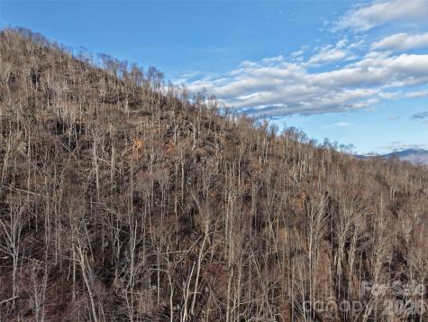 0000 Fork Mountain Road Bakersville NC 28705