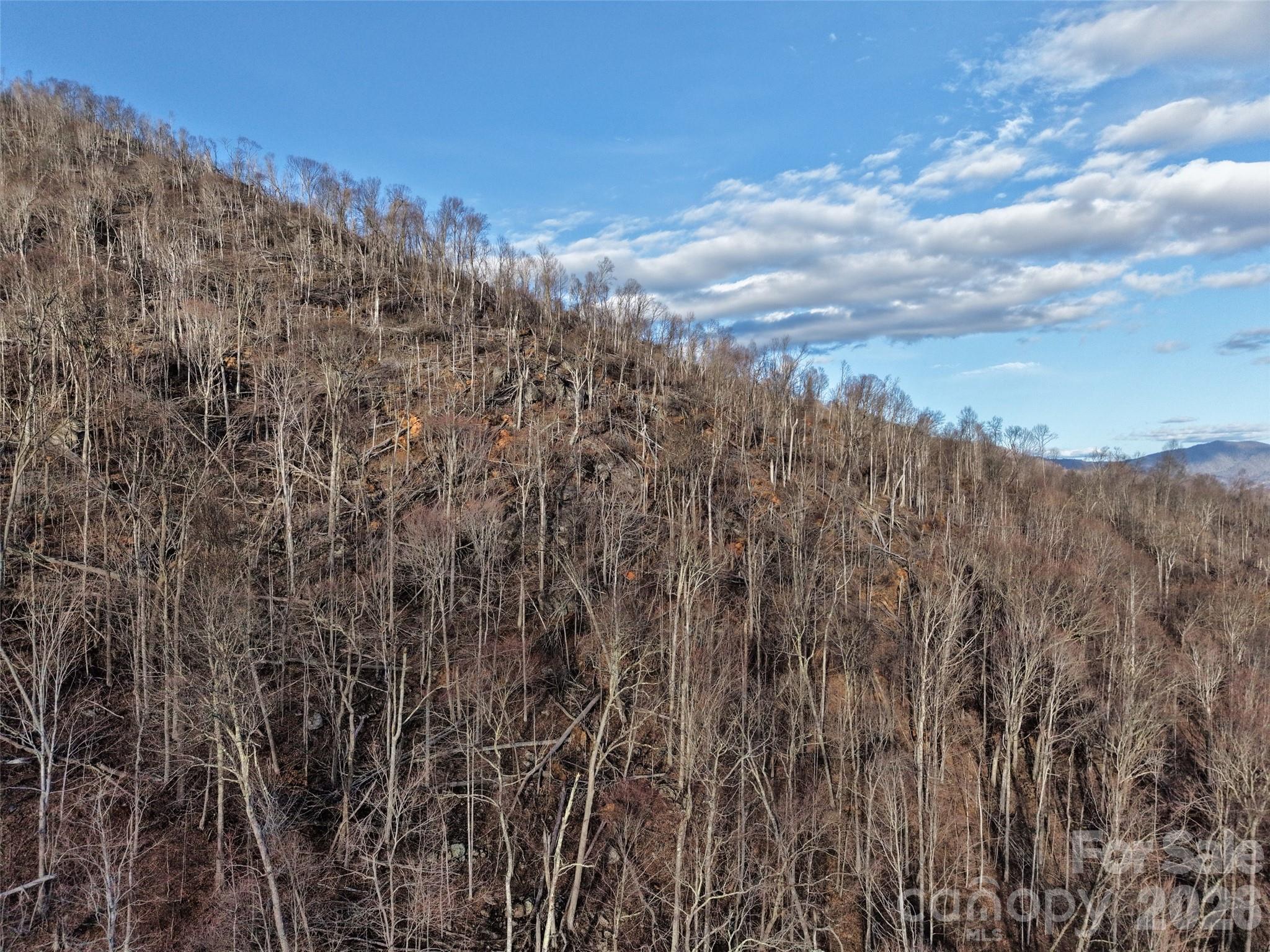 0000 Fork Mountain Road Bakersville NC 28705