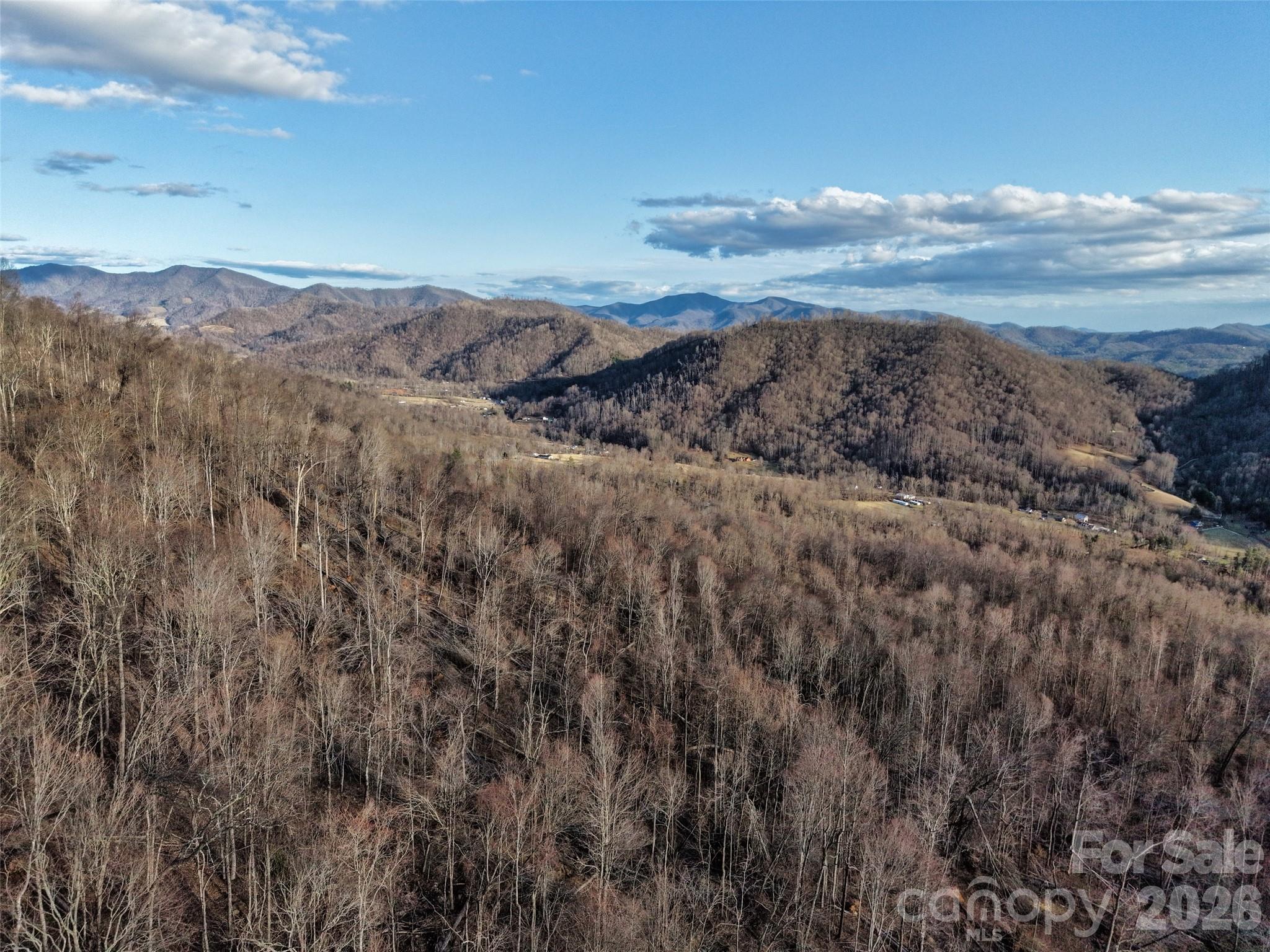 0000 Fork Mountain Road Bakersville NC 28705