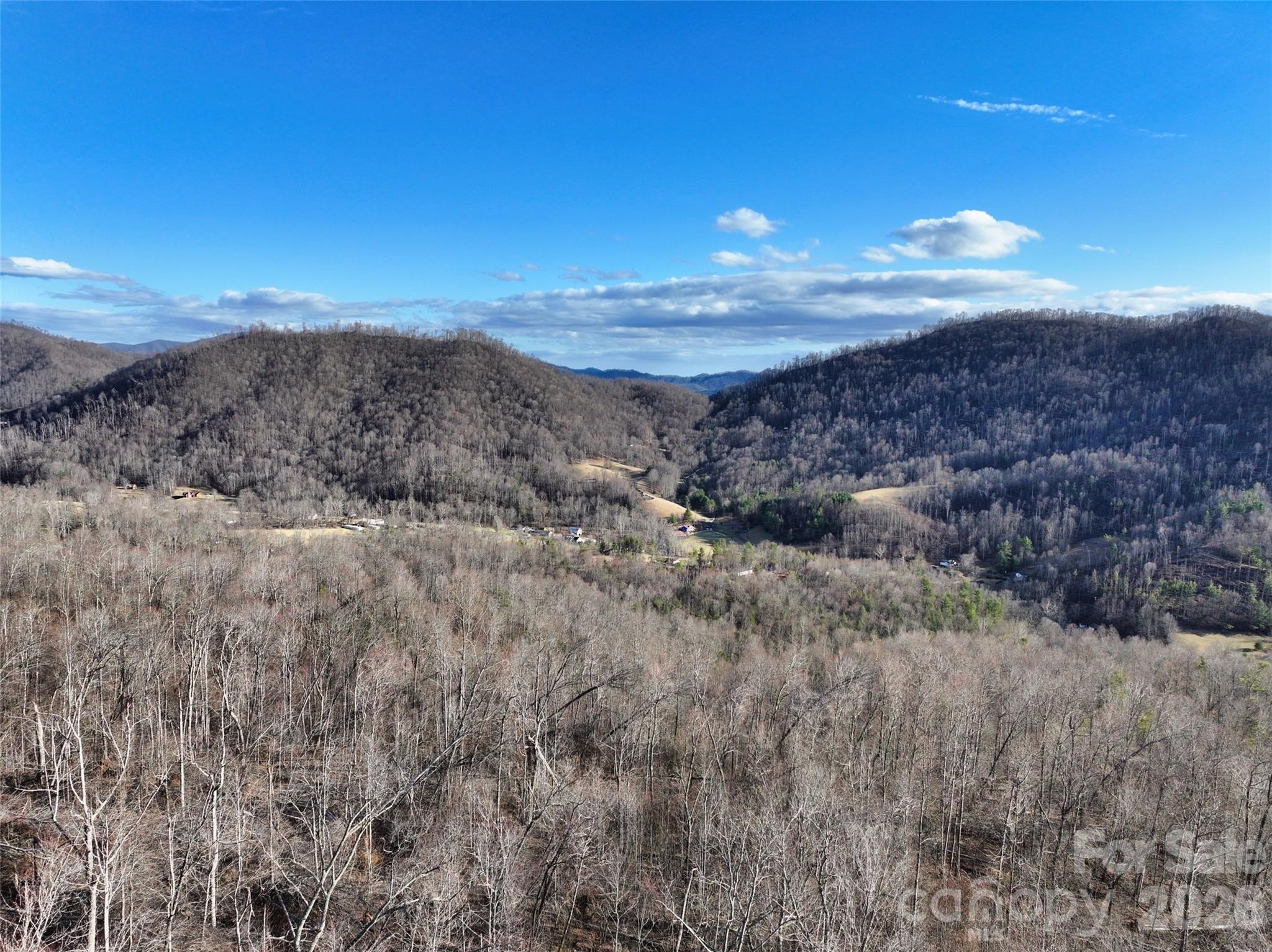 0000 Fork Mountain Road Bakersville NC 28705