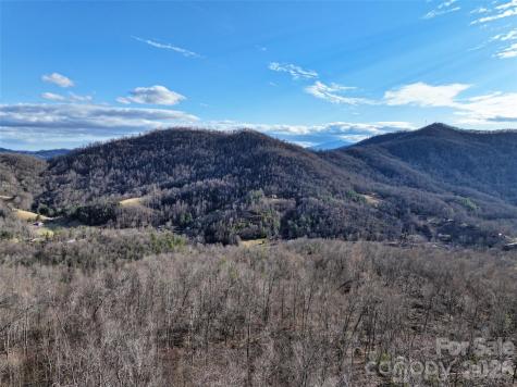 0000 Fork Mountain Road Bakersville NC 28705