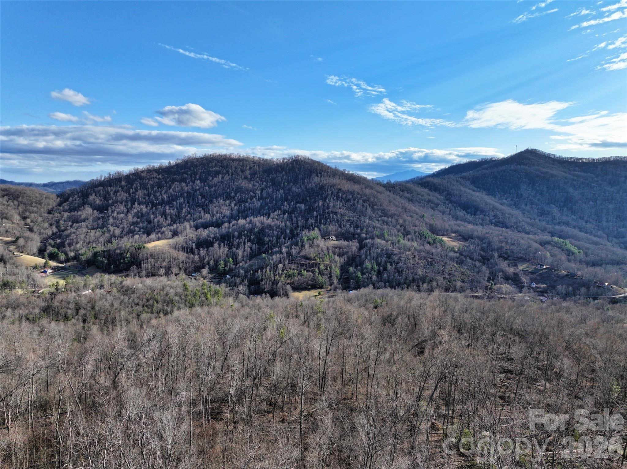 0000 Fork Mountain Road Bakersville NC 28705