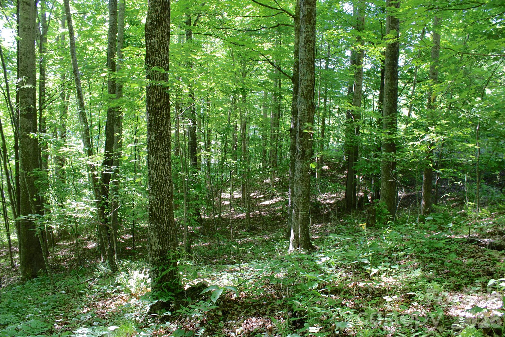 00 Wildwood Drive Burnsville NC 28714