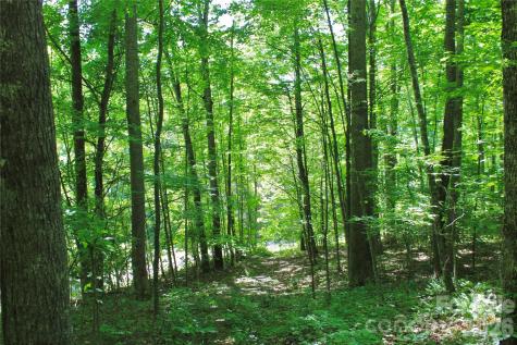 00 Wildwood Drive Burnsville NC 28714