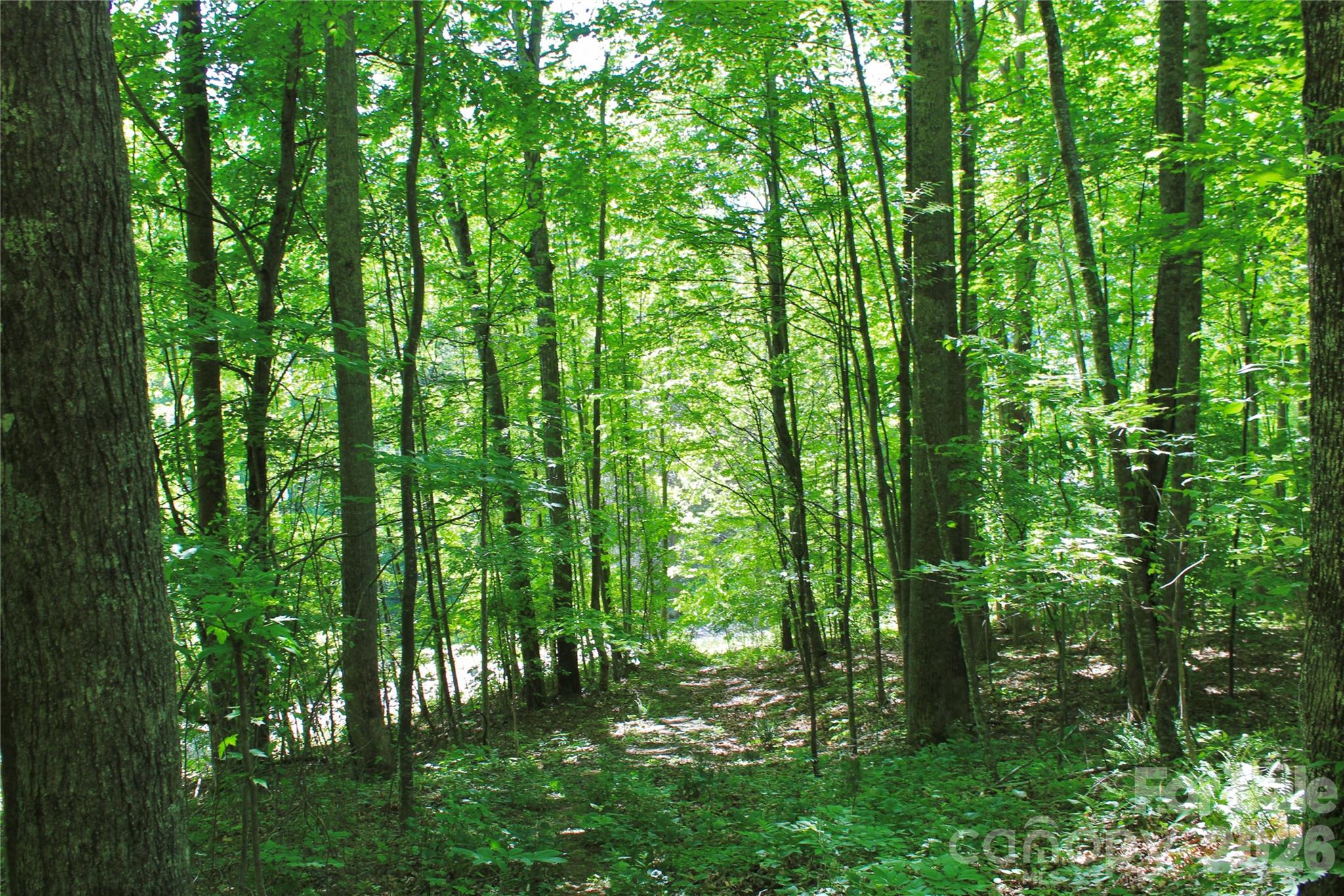 00 Wildwood Drive Burnsville NC 28714