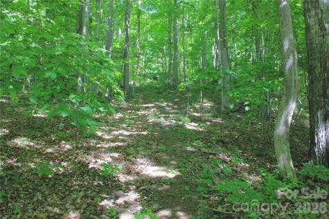 00 Wildwood Drive Burnsville NC 28714
