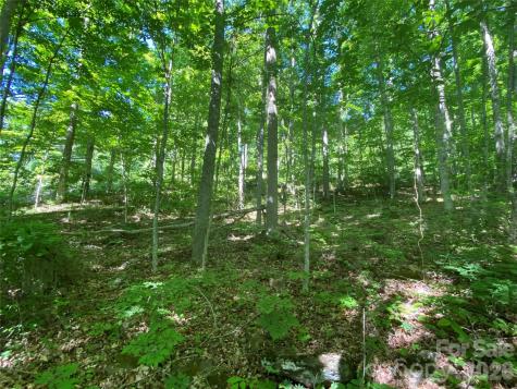 00 Wildwood Drive Burnsville NC 28714
