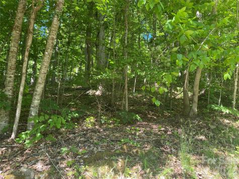 00 Wildwood Drive Burnsville NC 28714