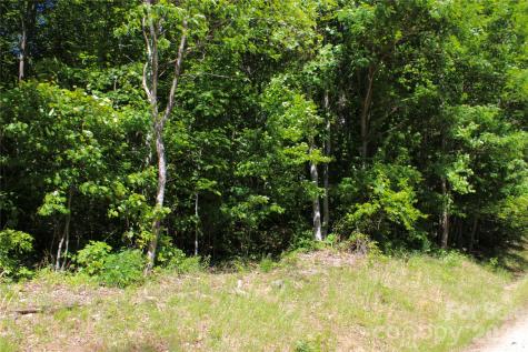 00 Wildwood Drive Burnsville NC 28714